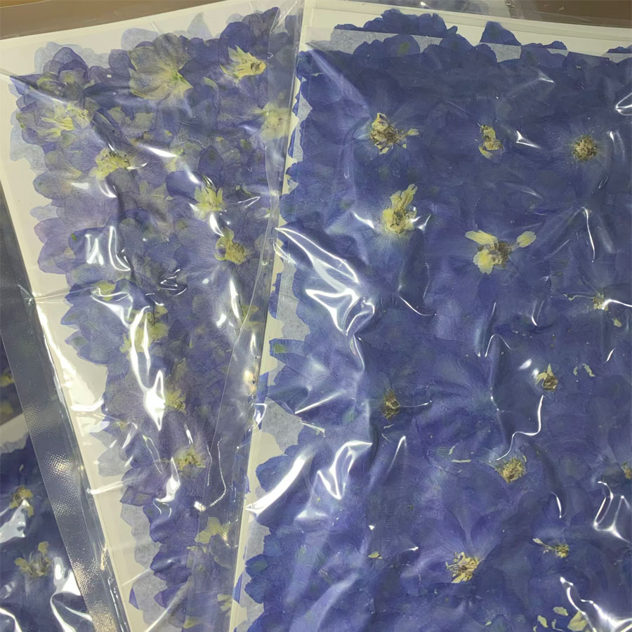 1000 Stück gepresste, getrockn – Dried Flower Bookmark Bewertung und Preis