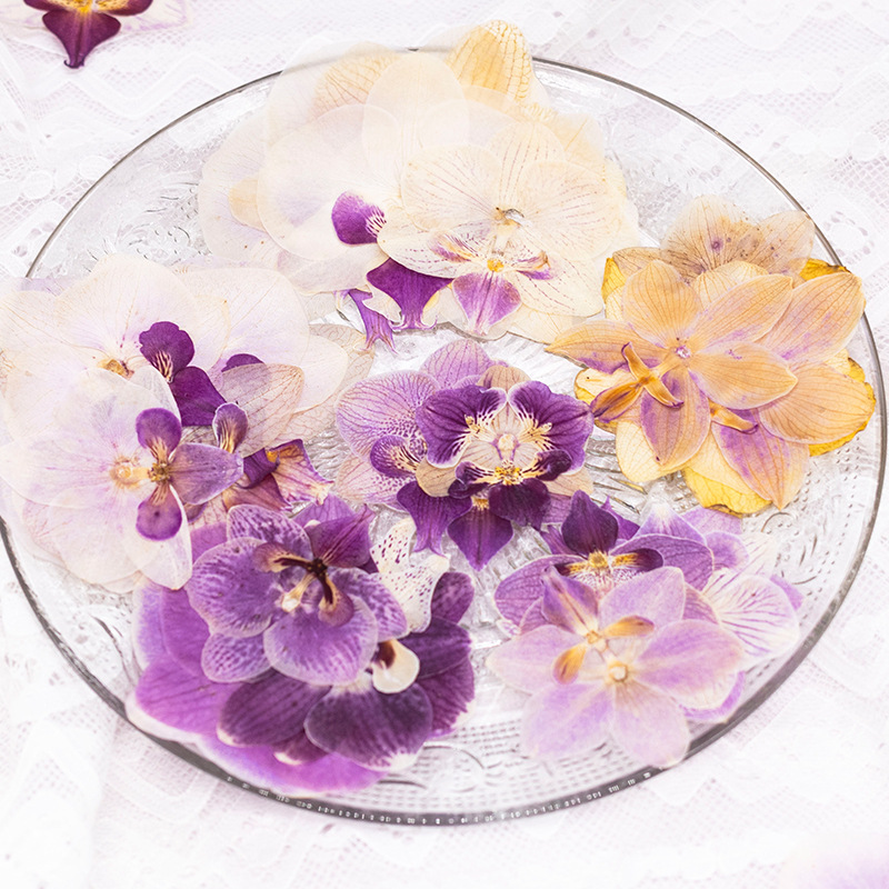 4 Stück Gepresste Getrocknete  – Dried Flower Bookmark Bewertung und Preis