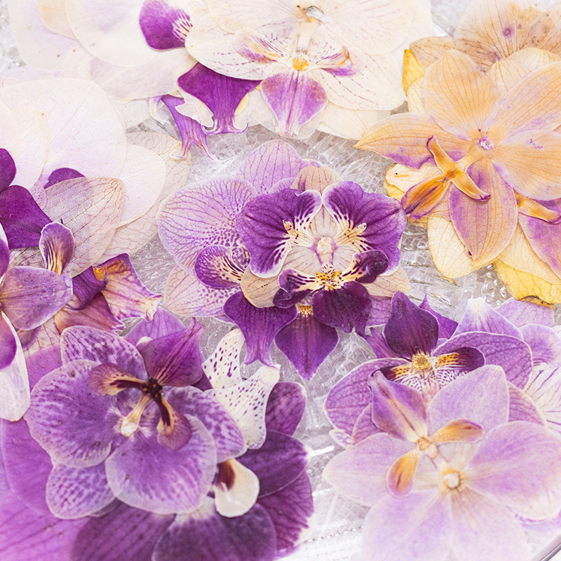 4 Stück Gepresste Getrocknete  – Dried Flower Bookmark Bewertung und Preis