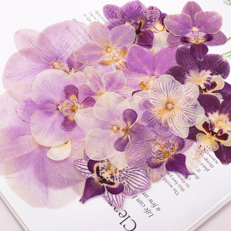 4 Stück Gepresste Getrocknete  – Dried Flower Bookmark Bewertung und Preis