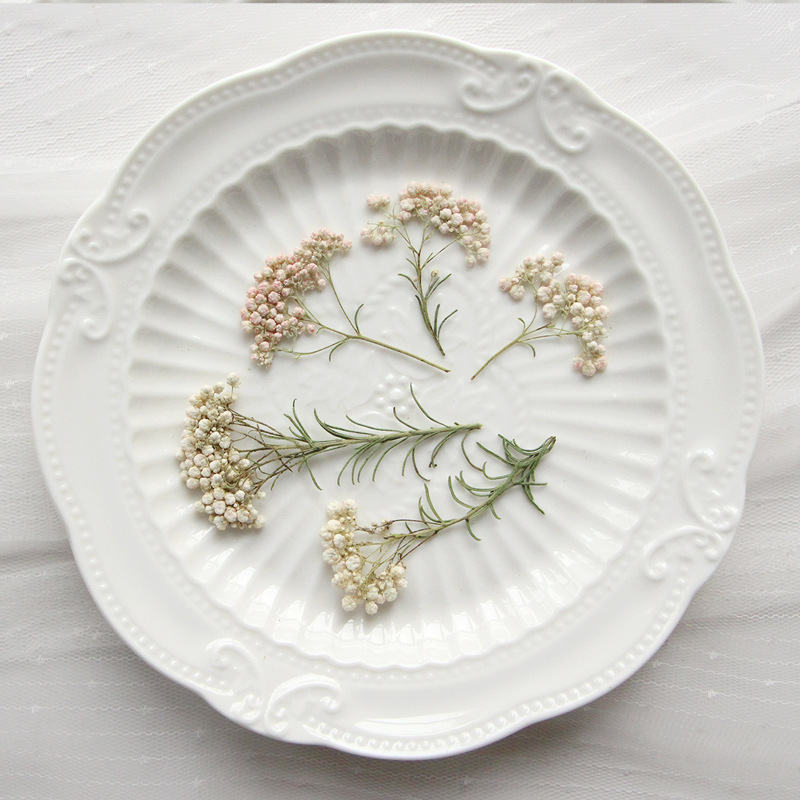 12 Stück, Natürliche Hirseblüt – Dried Flower Bookmark Bewertung und Preis